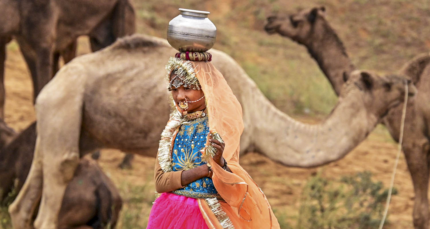 Ajmer: Camel herders at the annual Pushkar Camel Fair 2025, in Ajmer district, Rajasthan, on Tuesday. Ajmer: Camel herders at the annual Pushkar Camel Fair 2025, in Ajmer district, Rajasthan, on Tuesday.