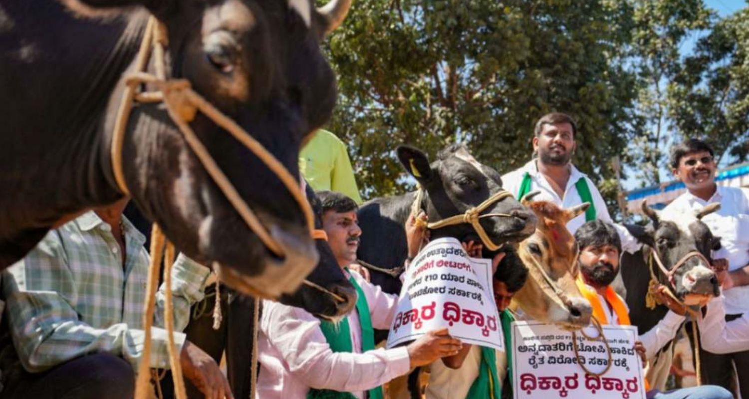 BJP stages protest against ‘anti-cow’ Congress govt in Karnataka