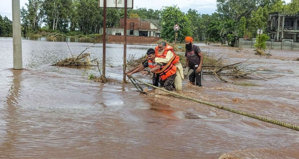 Receding waters in Fazilka reveal large-scale damage