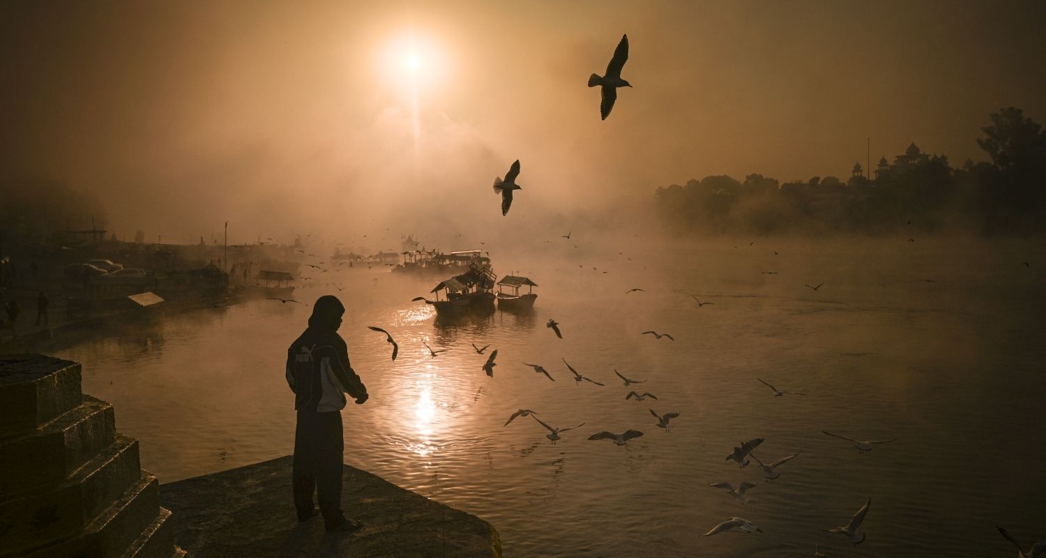 A man feeds gulls flying over the Narmada river during sunrise, at Gwarighat, in Jabalpur, Madhya Pradesh, Tuesday.