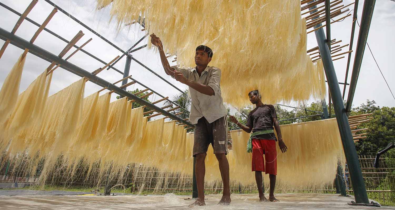Siliguri: A white-throated kingfisher with a freshly caught insect sits on a tree branch, in Siliguri, West Bengal, on Friday. Siliguri: A white-throated kingfisher with a freshly caught insect sits on a tree branch, in Siliguri, West Bengal, on Friday.