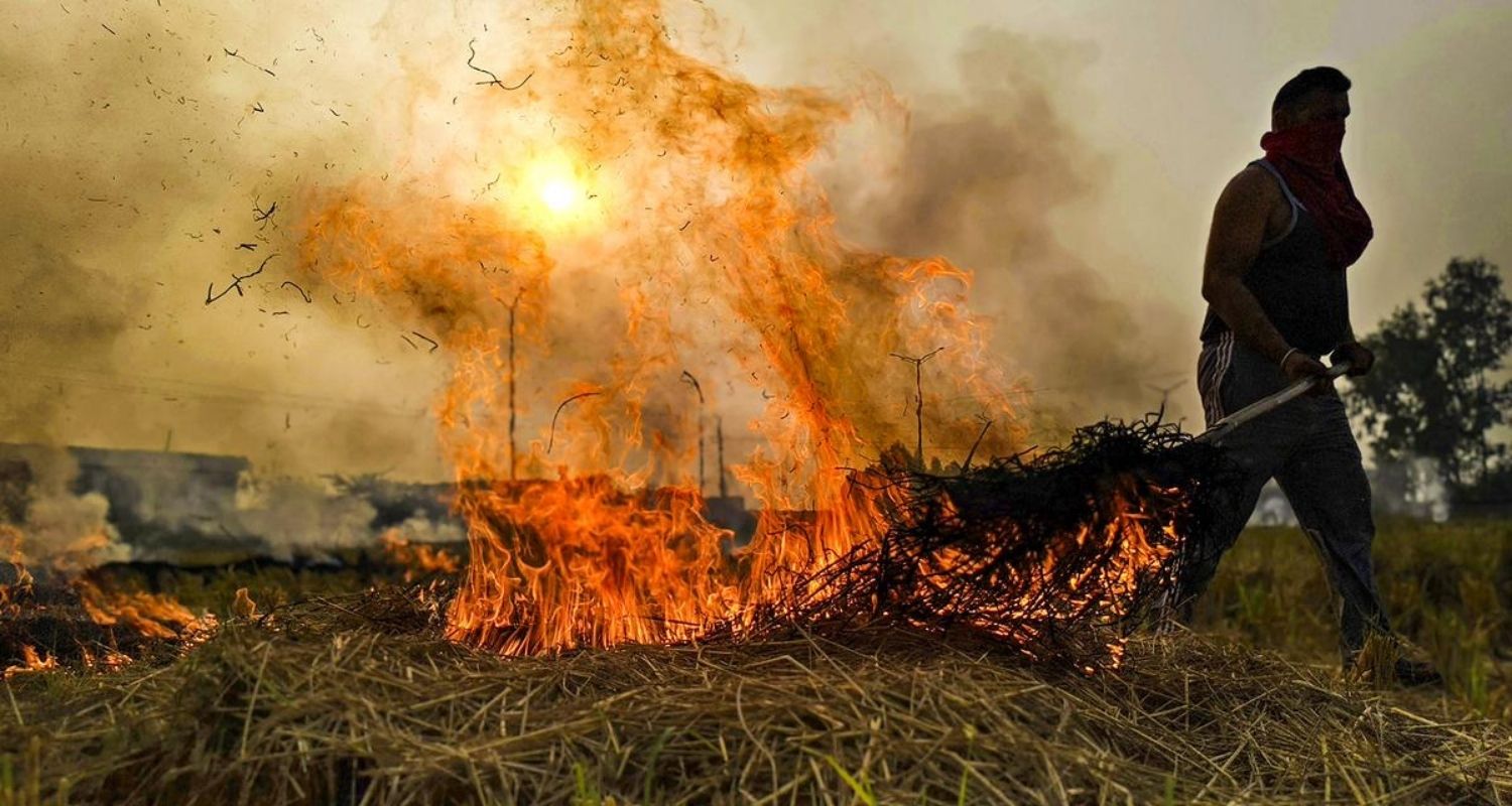 308 stubble burning cases in Punjab amid Delhi’s pollution crisis